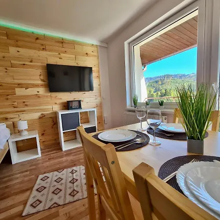 Apartamenty Willa Naskarpie Jacuzzi Sauna Basen Wisła Zewnętrze zdjęcie