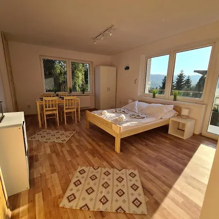 Apartamenty Willa Naskarpie Jacuzzi Sauna Basen Wisła Zewnętrze zdjęcie