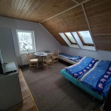 Apartamenty Willa Naskarpie Jacuzzi Sauna Basen Wisła Zewnętrze zdjęcie