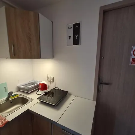 Apartamenty Willa Naskarpie Jacuzzi Sauna Basen Wisła Zewnętrze zdjęcie