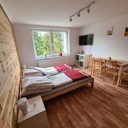 Apartamenty Willa Naskarpie Jacuzzi Sauna Basen Wisła Zewnętrze zdjęcie