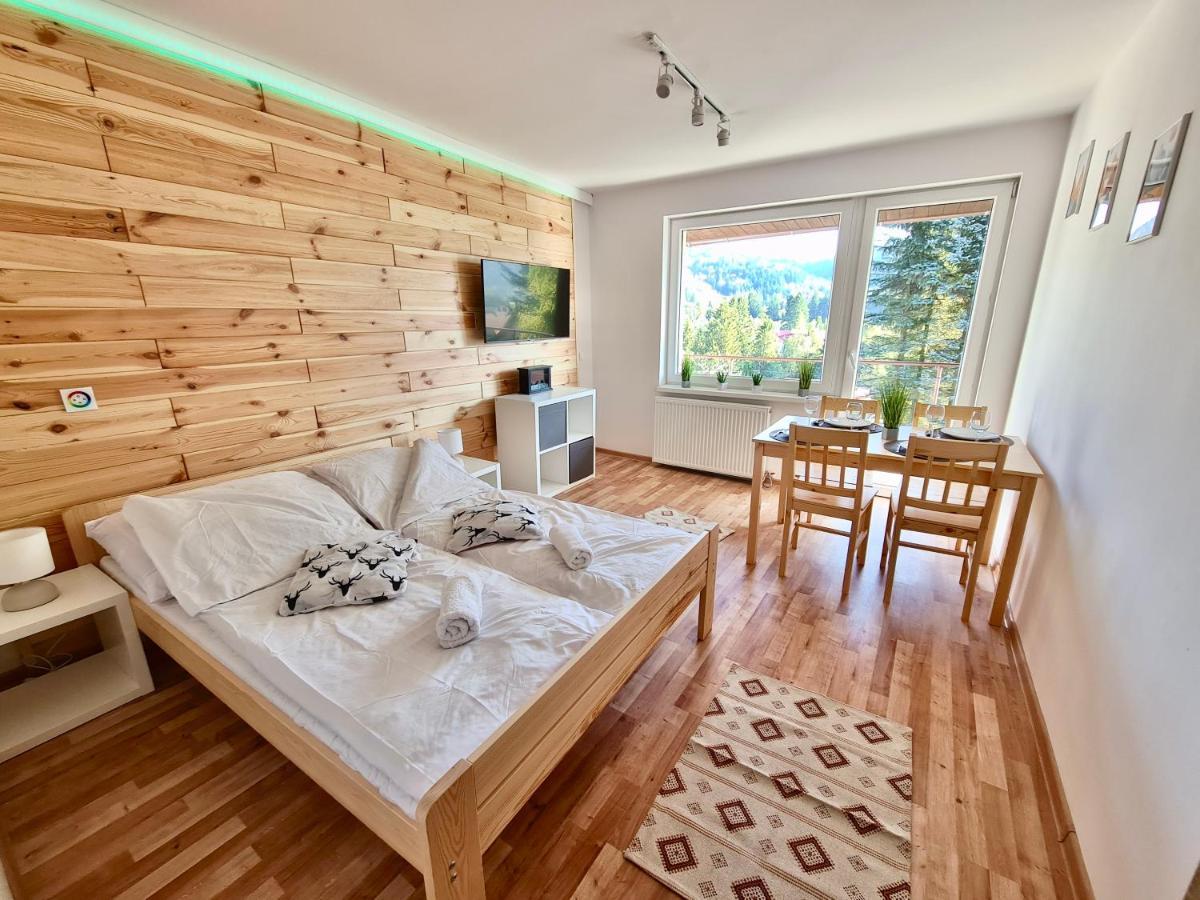 Naskarpie Jacuzzi Sauna Basen Apartment Wisla